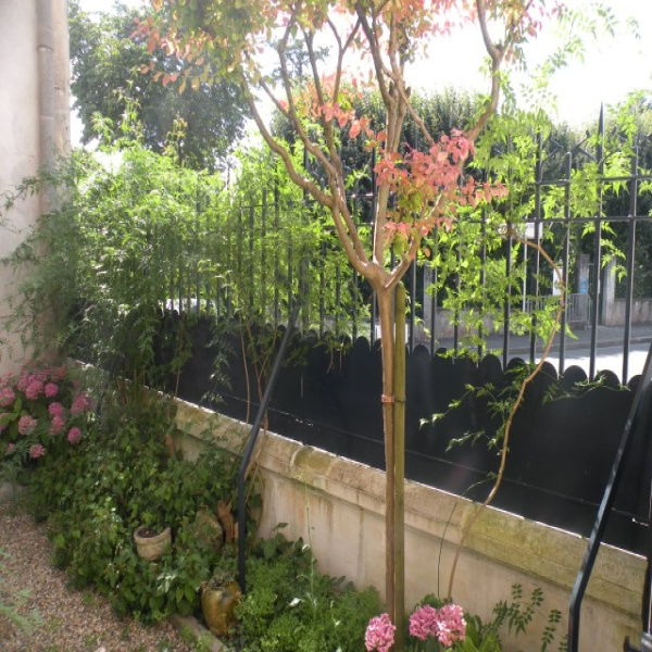 Offres de location Maison Cognac 16100